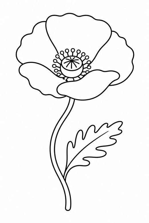 Single poppy: A single poppy flower with a slender bending stem, free printable coloring page